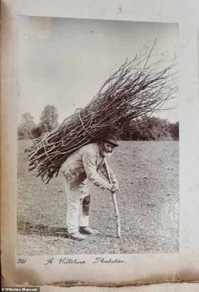 The original portrait, a black and white photograph taken in the 1890s, is captioned 'A Wiltshire Thatcher'
