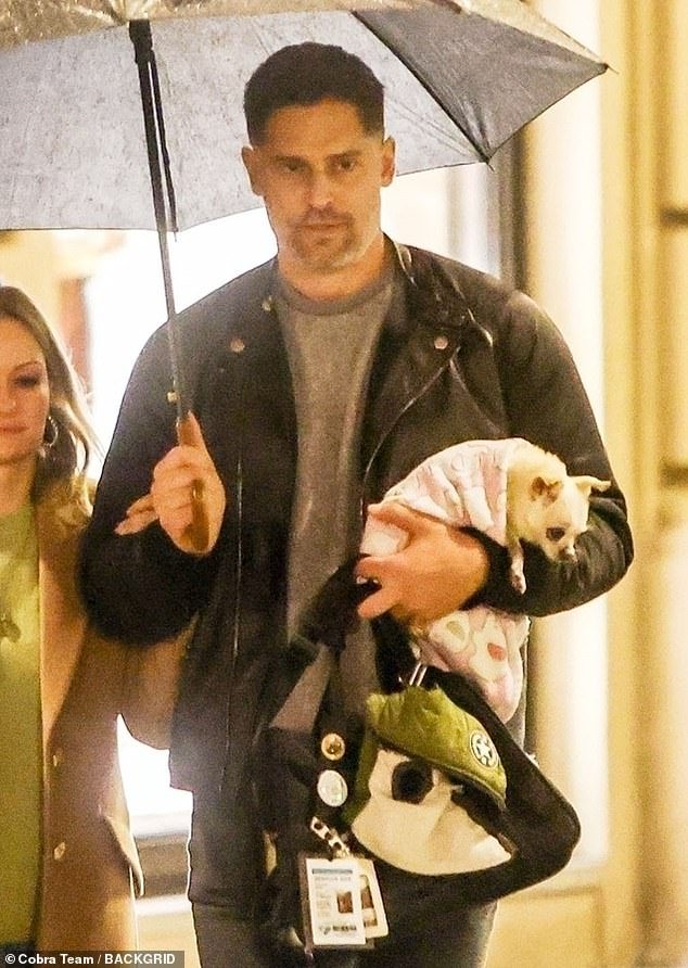 Happy: Caitlin, 33, looked googly-eyed as she walked alongside the Hollywood hunk, who held his beloved chihuahua Bubbles