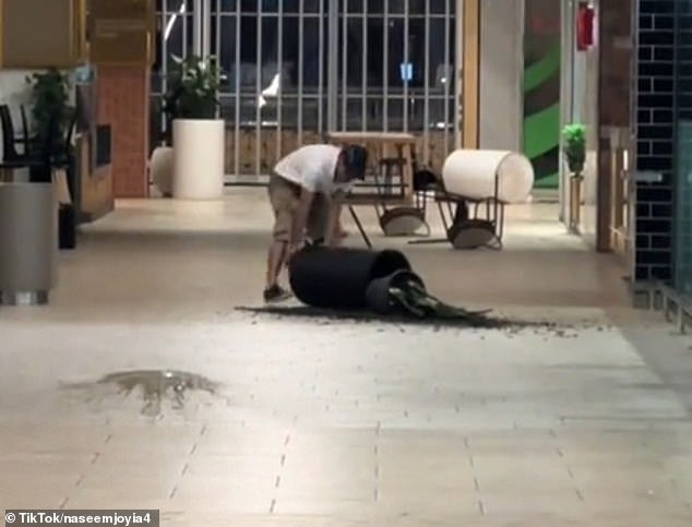 The 23-year-old threw tables, chairs, potted plants and bins before police arrived and arrested him at 9.30pm on Friday.