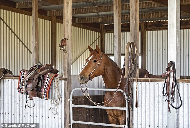 Also equipped with several paddocks and five stables with tack room and washing area - animal lovers will be happy to discover that they live among horses and cows