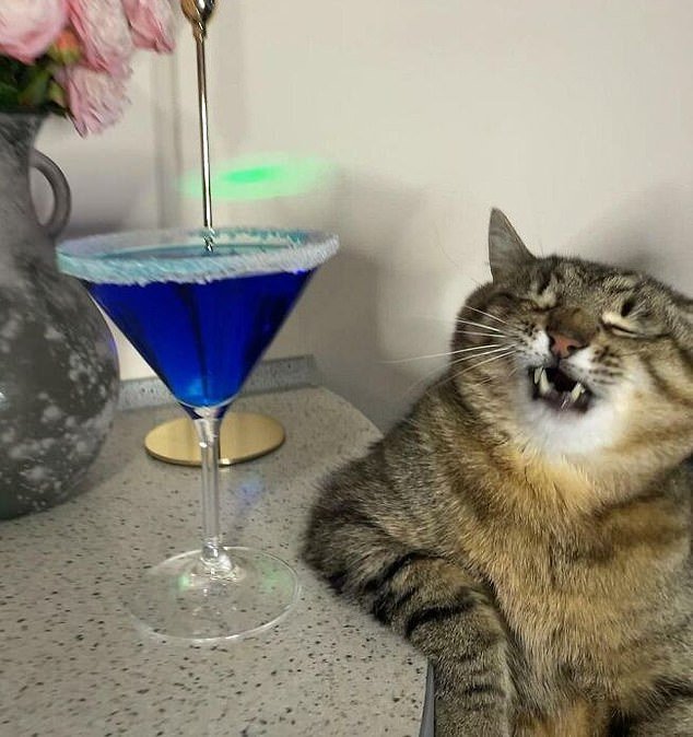 Clealry is unimpressed with the cocktail the owner served him and demands a replacement