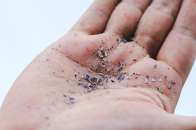 Microplastics are defined as plastic particles smaller than five millimeters, but in this study most particles (about 60 percent) were smaller than 100 micrometers