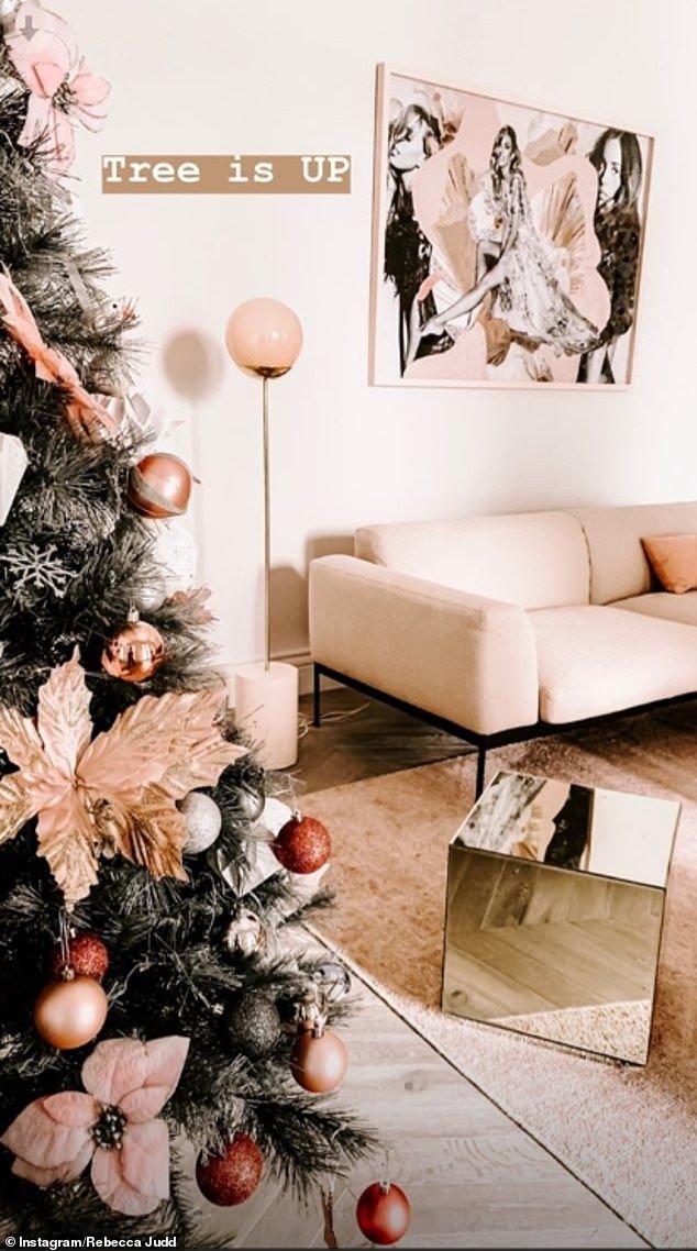 Last year she chose a traditional and beautifully decorated artificial tree for the holidays, set up in the living room