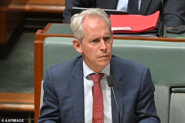 Immigration Minister Andrew Giles was peppered with tough questions about the fiasco