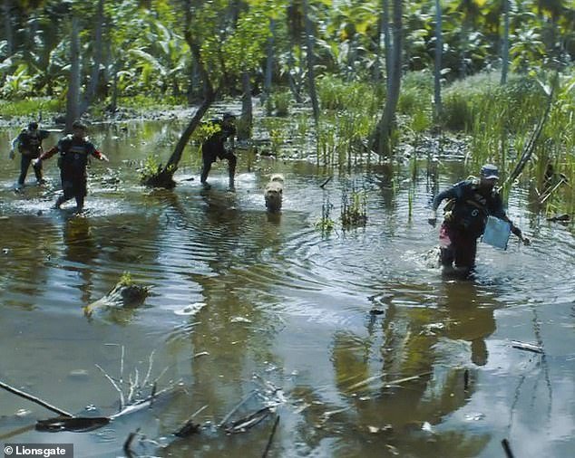 Leader of the Pack: The team and their new unofficial fifth member make their way through the rainforest swamps