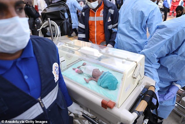 28 of the 31 premature babies are transferred to hospitals for treatment after arriving in Egypt