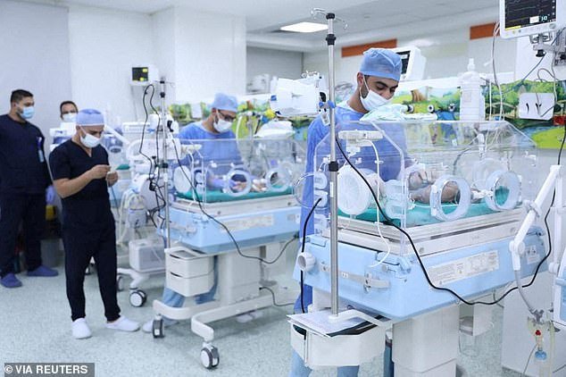 Medics treat premature Palestinian babies evacuated from Gaza in the new administrative capital