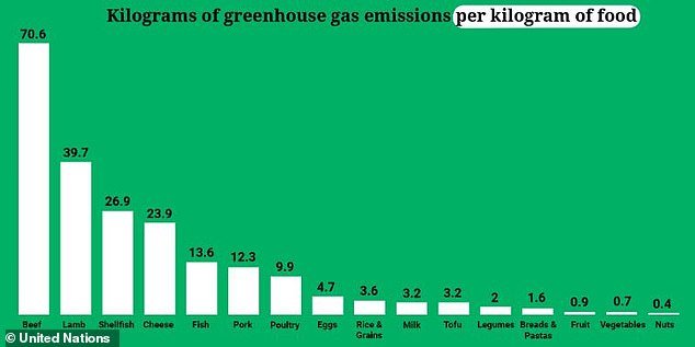 United Nations data has shown that beef is the largest dietary contributor to greenhouse gas emissions