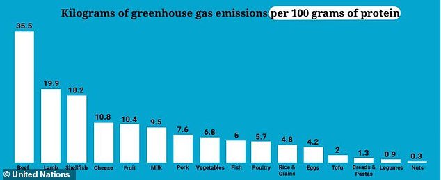 Beef is also the largest source of protein responsible for greenhouse gas emissions