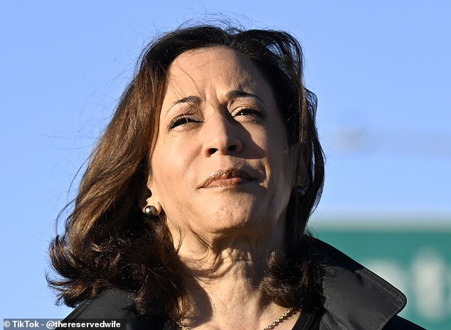 Prominent women like Vice President Kamala Harris have been the target of torrents of sexist and racist abuse online.