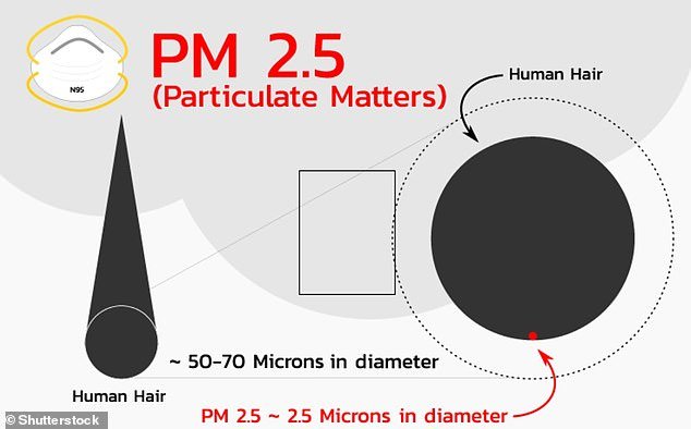 Particulate matter, or PM, comes from a variety of sources, including vehicle exhaust, construction sites, industrial activity, or even home stoves and ovens.  PM2.5 are pollutant particles that are 2.5 micrometers or smaller in size