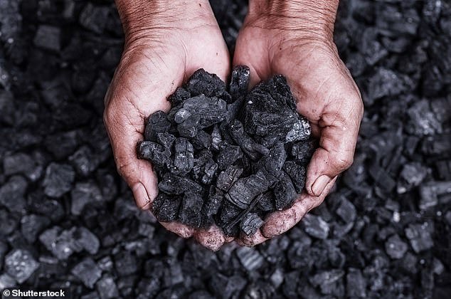 Fossil fuels such as coal (pictured) and gas release huge amounts of greenhouse gases into the air