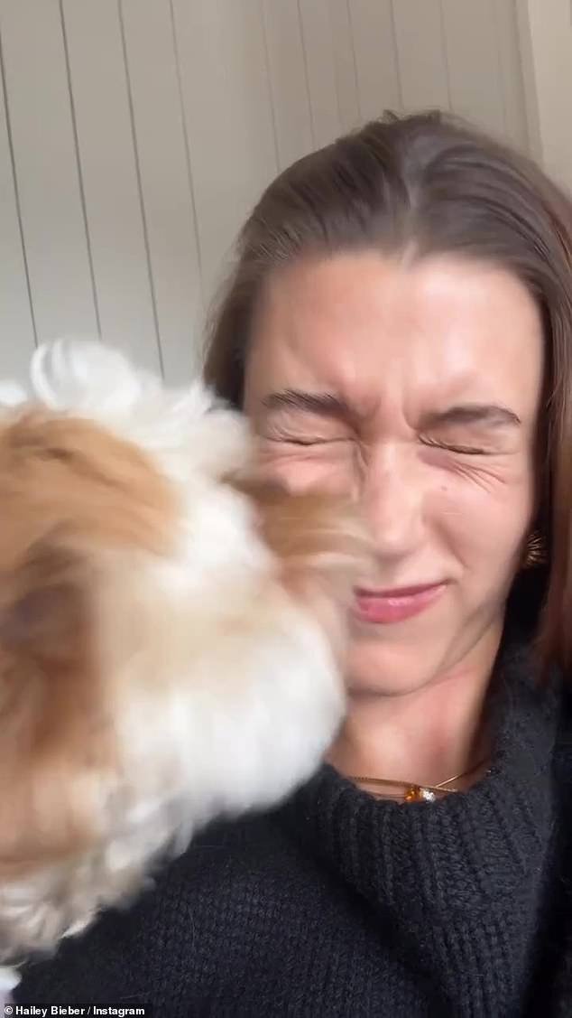 In her Instagram Story, Stephen Baldwin's daughter made a short clip in which Piggy Lou gives her a surprise kiss on the face