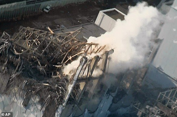 Smoke rises from the destroyed Unit 3 of the Fukushima Dai-ichi nuclear power plant after the earthquake and tsunami