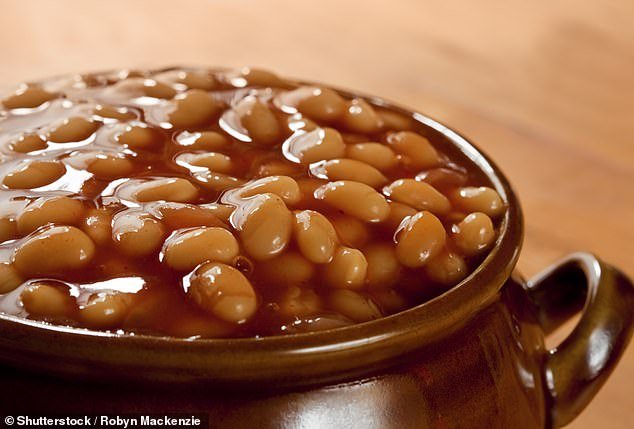 History: Traditionally, baked beans are mostly sourced from overseas markets in the United States, Canada, Ethiopia, and China due to the specific climate and soil requirements needed for their successful cultivation.
