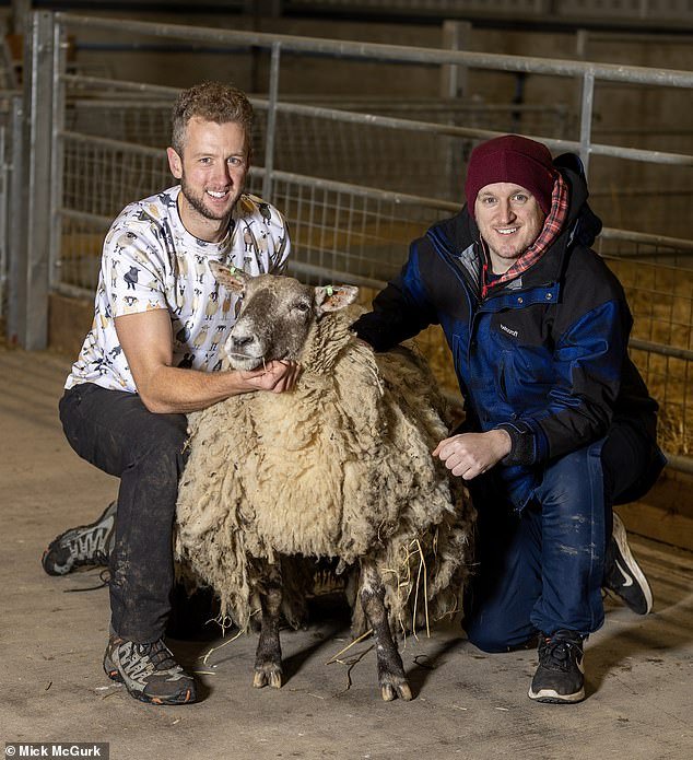 Two of the rescuers Cammy Wilson (L) and Als Couzens are pictured with Fiona, the sheep that was rescued