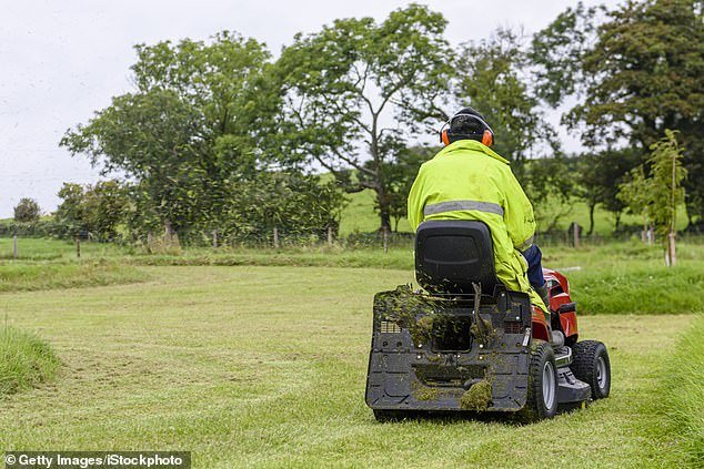 A man in his 30s who worked for the West Coast Council in Tasmania died after a riding mower accident on Monday (pictured)