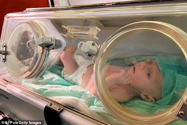 A premature Palestinian baby evacuated from Gaza is pictured in an ambulance on the Egyptian side of the Rafah border