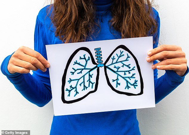 Humans breathe an estimated 25,000 times a day using our lungs