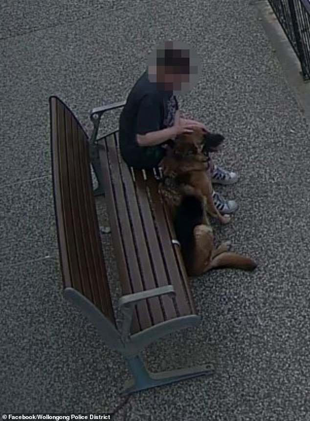 Police shared CCTV footage of the woman sitting with the German Shepherd next to her (above)