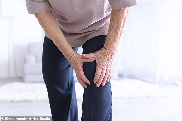 Researchers launched a new clinical trial where 60 men and women who regularly experience pain due to wear and tear on their knees will try different exercises to see which provides the most relief (stock image)