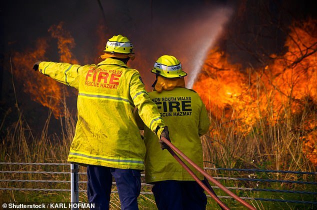 A volunteer NSW firefighter has died after being struck by a tree battling a blaze in the state's north-west