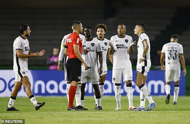 Botafogo are in a nightmare situation after blowing a 14-point lead at the top of Brazil's top division and being overtaken by Palmeiras in the title race