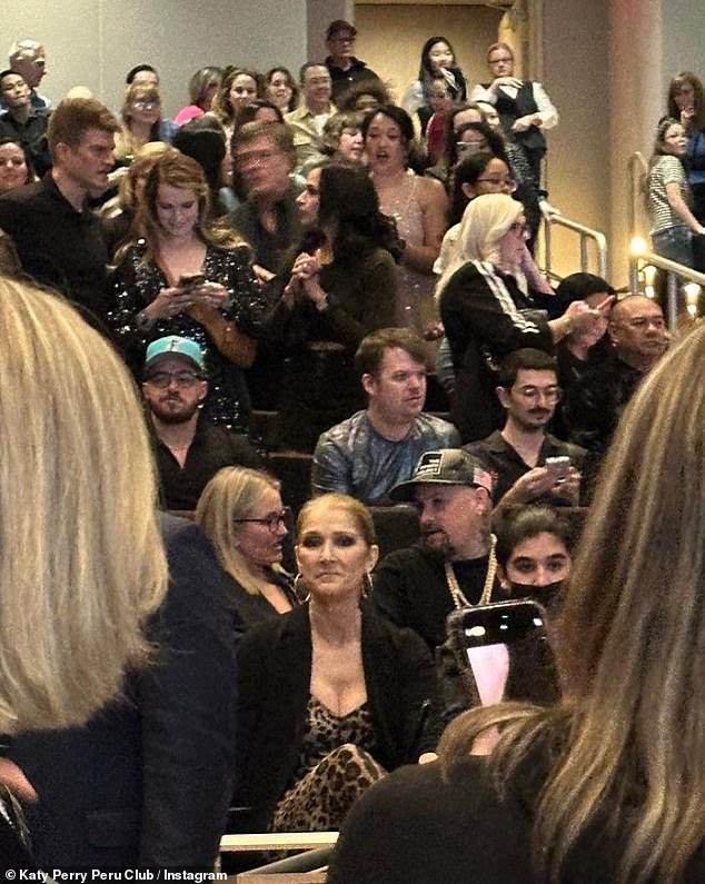 Rare appearance: Celine Dion made a rare public appearance at the concert, wearing a black jacket and an animal print outfit.  The superstar has put her career behind her since being diagnosed with stiff-person syndrome