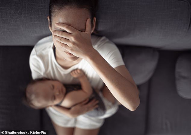 The study's authors argue that mothers in the West have not faced such pressure and little support for the majority of humankind's evolutionary history (stock image)