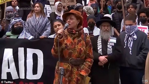 Susan Sarandon is seen at a pro-Palestine rally in New York City