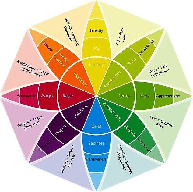 The Feelings Wheel, or Wheel of Emotions, was created in 1980 by psychologist Robert Plutchik – and is experiencing a revival among trendy parents
