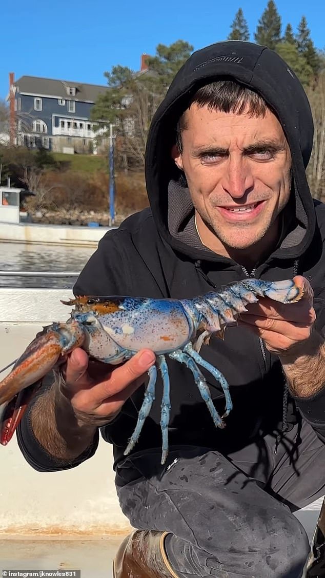 Lobsterman Jacob Knowles holds a gynandromorph lobster that his friend found in one of his lobster traps