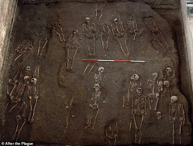Archaeologists have analyzed more than 400 human remains unearthed from the main cemetery of St John the Evangelist Hospital in Cambridge, revealing that the individuals buried there come from a variety of backgrounds - from scholars to orphaned children.