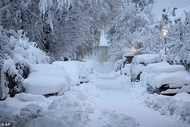 Heavy snow fell in Munich last night, while temperatures fell below freezing