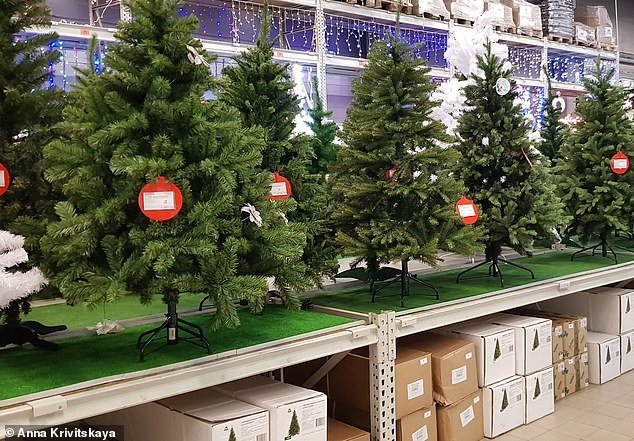 Artificial Christmas trees (pictured) are not recyclable because they are made from a mixture of materials that cannot be separated, including plastic and metal.
