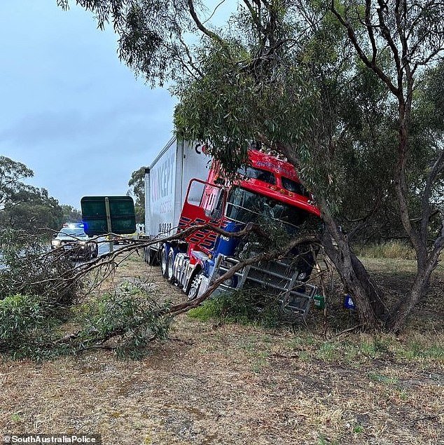 Driver miraculously escaped with only minor injuries after a tree branch crashed through his windshield, narrowly missing him
