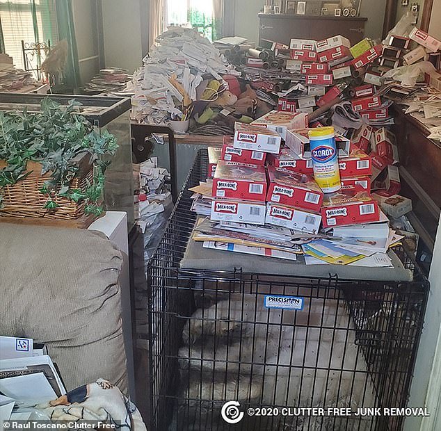 It is not uncommon for hoarders to collect animals thinking they are doing them a favor.  In reality, these environments are not suitable for animals.  The cleaning crew discovered a dead husky in his suitcase in a posh New York apartment building
