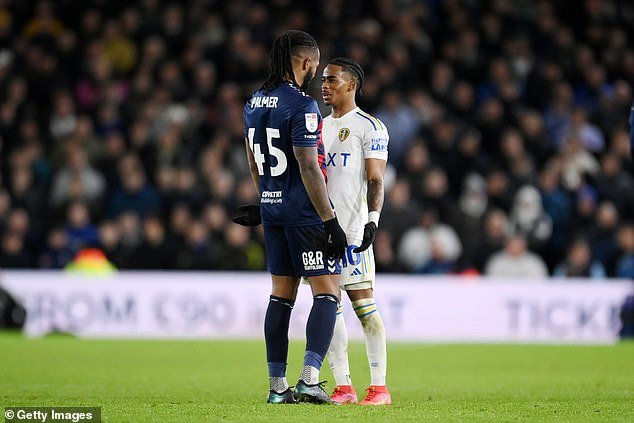 But the Dutchman was still furious and came face to face with Sky Blues defender Kasey Palmer before order was restored