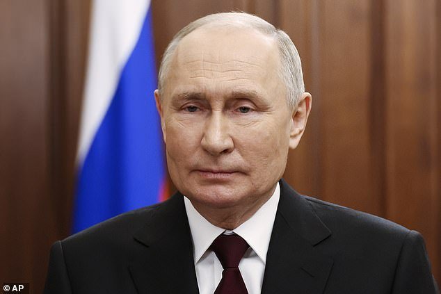 The report referred to a 'diverse and growing group of foreign actors', including China and Russia (photo: Russian President Vladimir Putin)