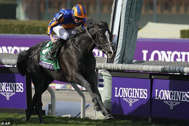 Auguste Rodin traveled across the pond in early November to win the Breeders' Cup Turf