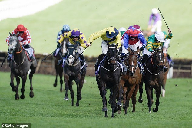 Marine Nationale (centre, yellow star cap) could soon dazzle in the Arkle Novices' Chase