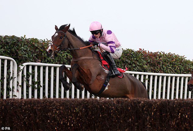 King tips Stay Away Fay as a shoe-in to win the Brown Advisory Novices' Chase next year