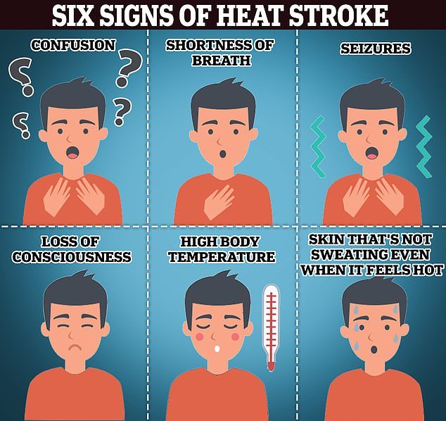 Heat exhaustion is the body's response to excessive loss of water and salt.  It can cause stress on the heart, which should compensate for a drop in blood pressure caused by dehydration and high internal temperatures