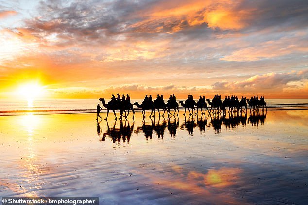 The woman, in her 30s, was found with serious head injuries at Cable Beach in Broome, Western Australia, about 6pm on Monday (photo, camels at Cable Beach)
