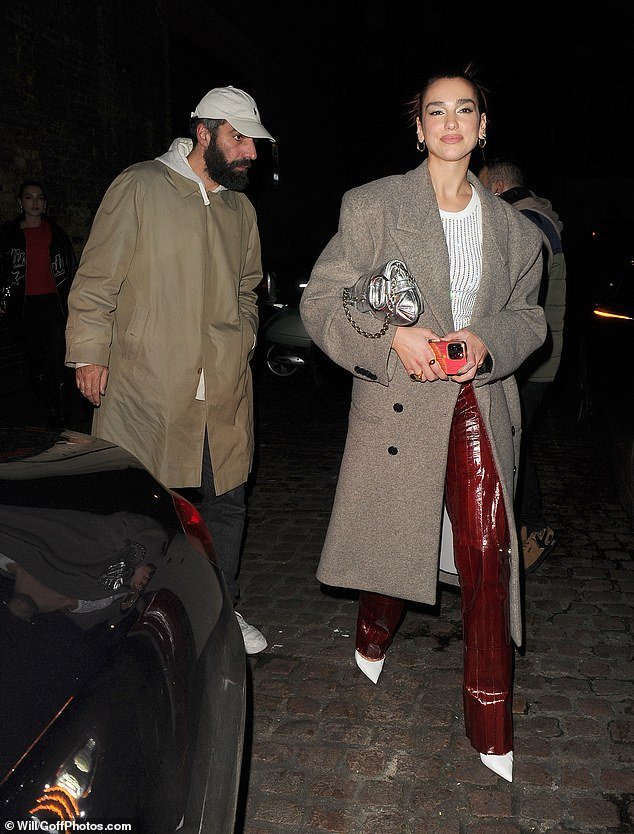 The hitmaker confirmed she was dating Rita Ora's ex Romain in March as the two headed home together from the Saint Laurent Paris Fashion Week show (pictured in November)