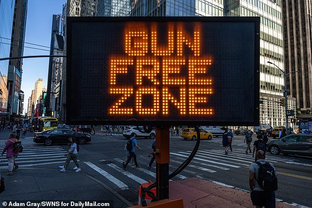 Gun owners are rejoicing after the federal appeals court struck down parts of New York's strict concealed weapons law