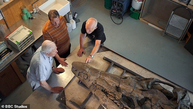 Sir David Attenborough with palaeontologists Steve Etches and Chris Moore examining a pliosaur skull in the Etches Collection Museum workshop