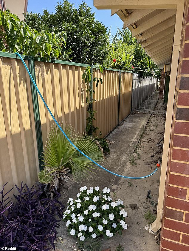 The photo appears to show that the neighbors have connected their hose to an adjacent property