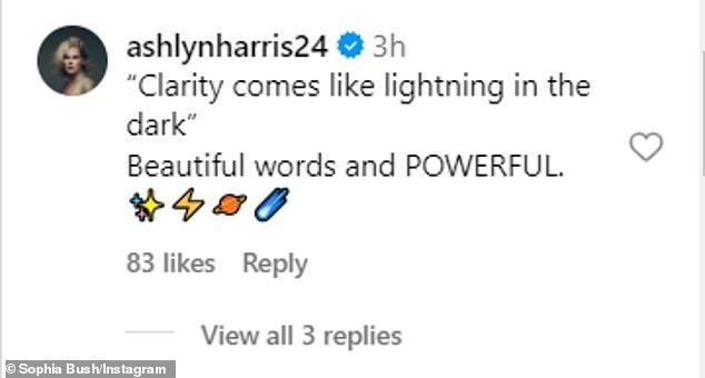 Sophia's friend since October – Ashlyn Harris – commented on her Instagram post: '"Brightness comes like lightning in the dark," Beautiful words and powerful!'