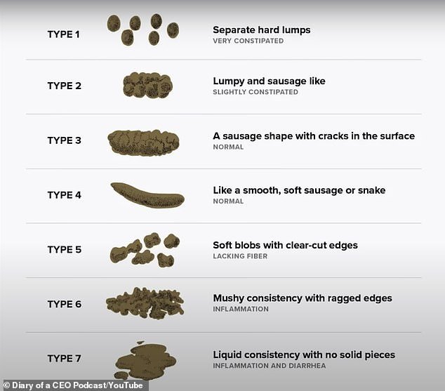 Bulsiewicz said you can find out if your gut is healthy just by looking at your poop, referring to the Bristol stool scale.  He explained what your poop should look like